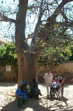 Sous un baobab